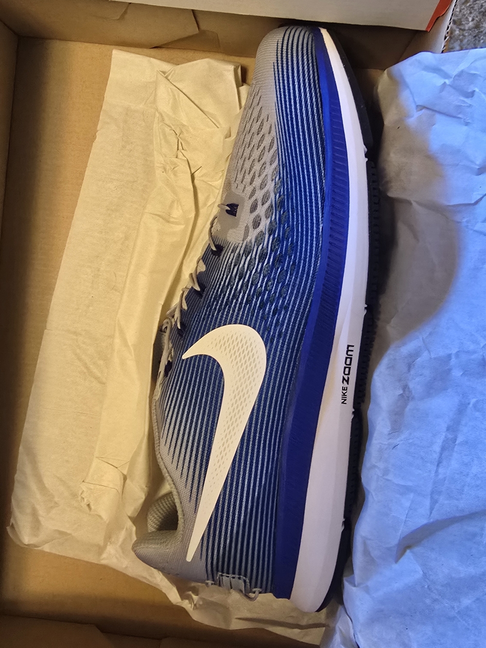 Nike Air Zoom Pegasus